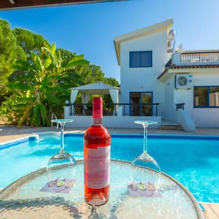 Villa Charoula Thio Large Private Pool Ac Wifi