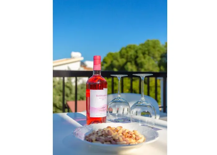 Charoula Thio Large Private Pool Ac Wifi *